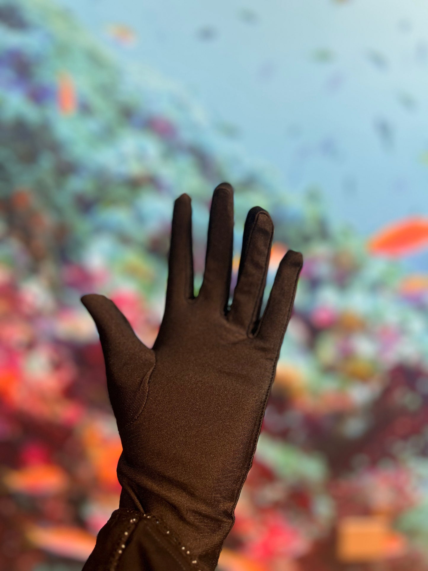 Gloves